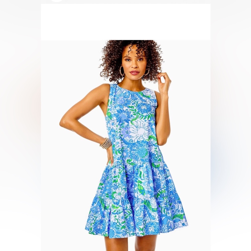 Lilly Pulitzer Trina Swing Dress